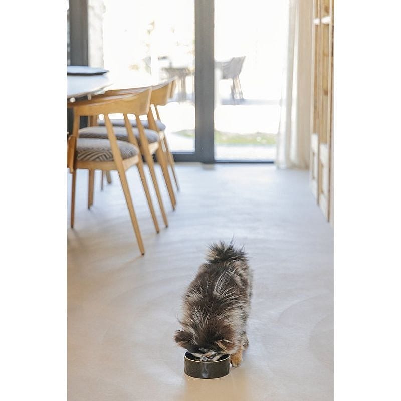 hond, haar, hondenvoer, voerbak, interieur