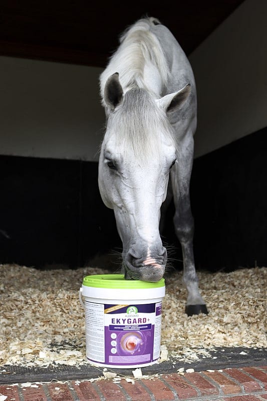 Audevard Ekygard+ Maag Stress Paard 6 kg