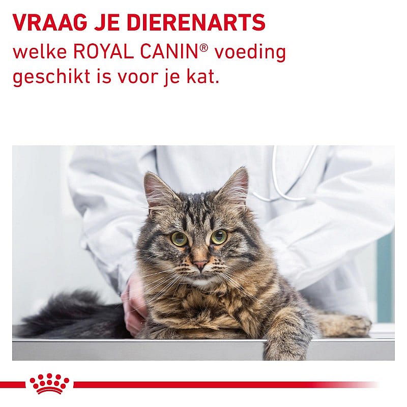 Royal Canin Gastrointestinal Fibre Response Kat 2 kg