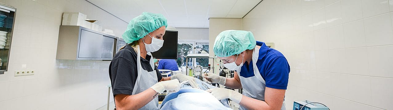 De kat en een operatie