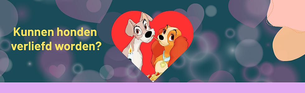 Kunnen honden verliefd worden? Over hondenhechting en datingfantasieën