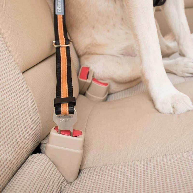 Kurgo Direct To Seatbelt Tether Oranje-zwart