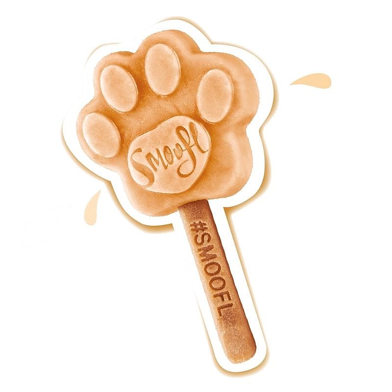Smoofl Honden IJsmix 160 gram Pindakaas