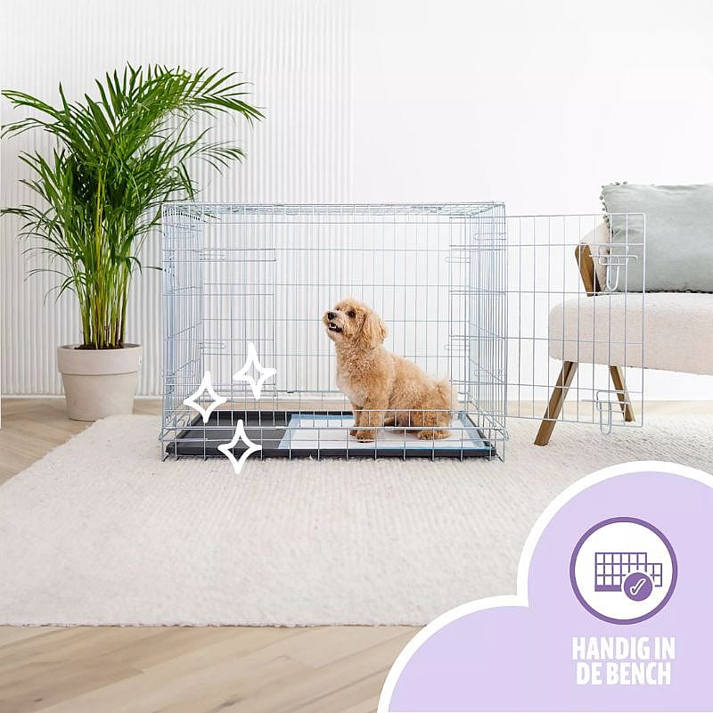 EasyPets Puppy Training Pads 58 x 58 cm Puppy