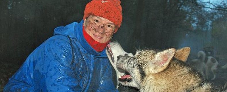 Dieren en de wind