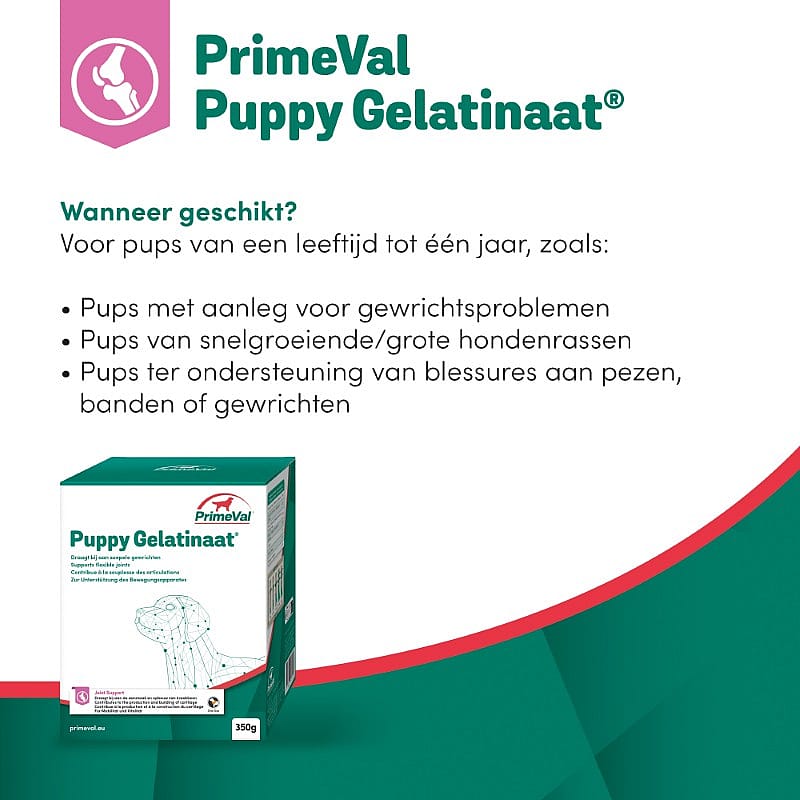 Primeval Puppy Gelatinaat 350 gram