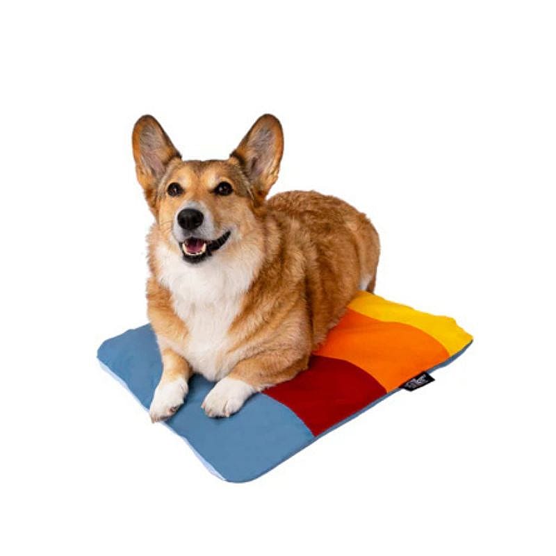 hond, kussen, kussen met kleuren, hondenkussen, kleurblokjes