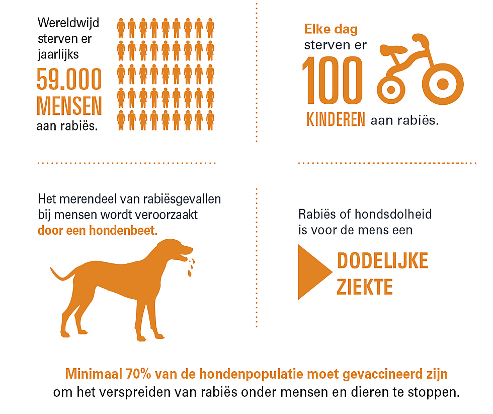 Vragen over Rabiës en hondsdolheid