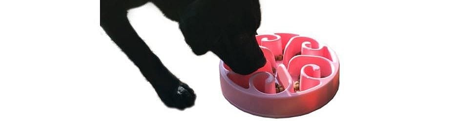 De hik bij de hond