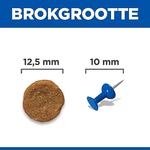 koekje, brokstuk, meter, miniatuur, turret tool