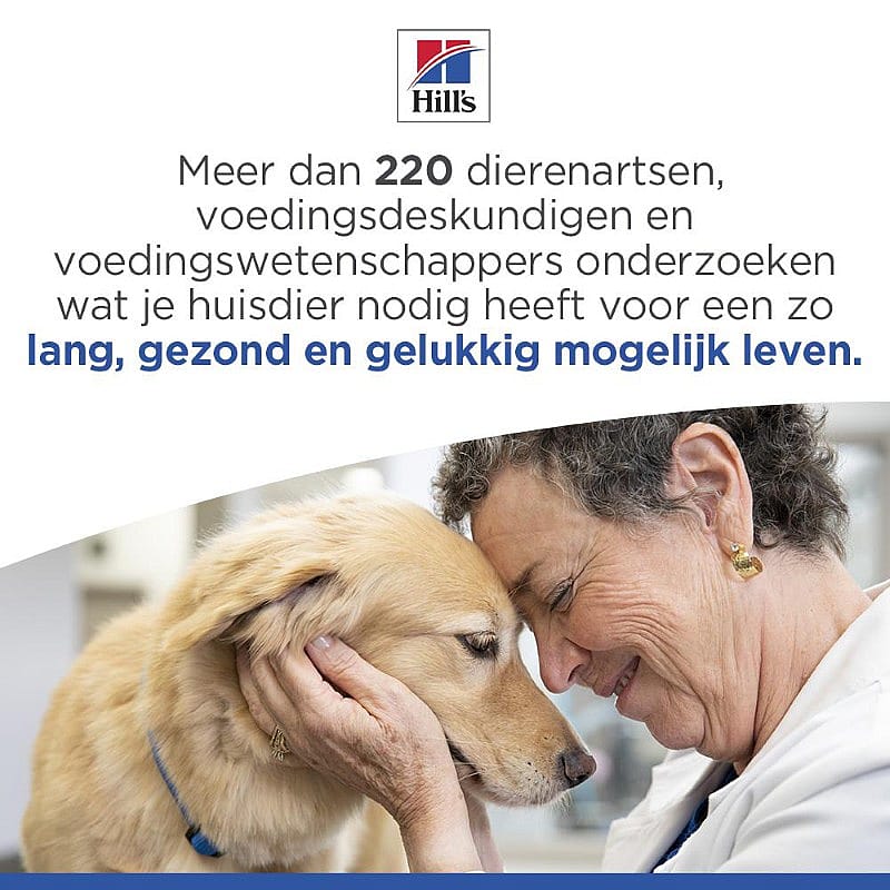 hond, hondenverzorging, dierenarts, golden retriever, huisdier
