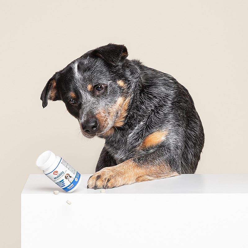 Sectolin Mobility Hond 100 tabletten