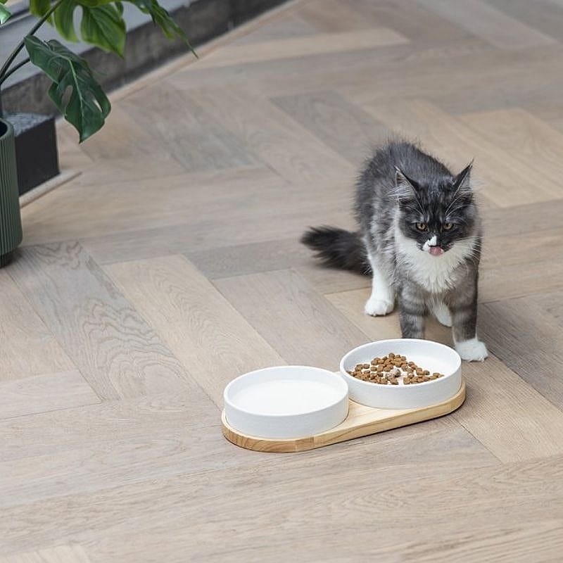 kat, kattenvoer, voerbak, duo schaal, grijze kat