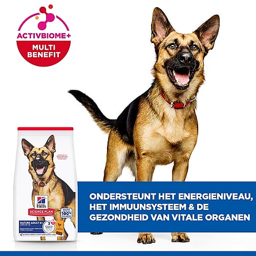 hondenvoer, voerzak, zak hondenvoer, bandje halsband?, beeld van hond