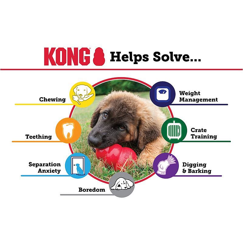 KONG Classic XS