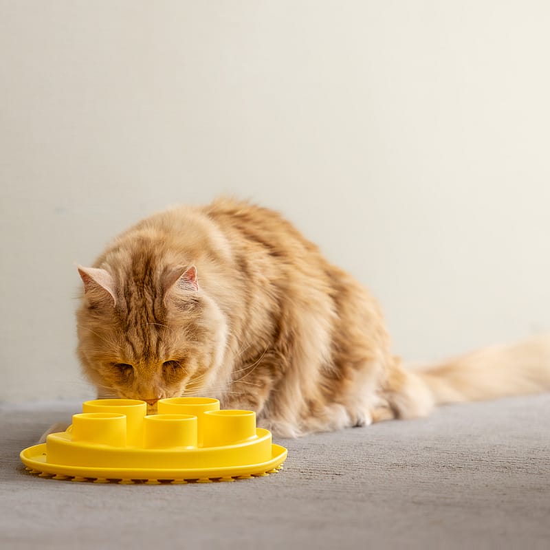 Puzzle Digger Slow Feeder Ø 25cm Kat