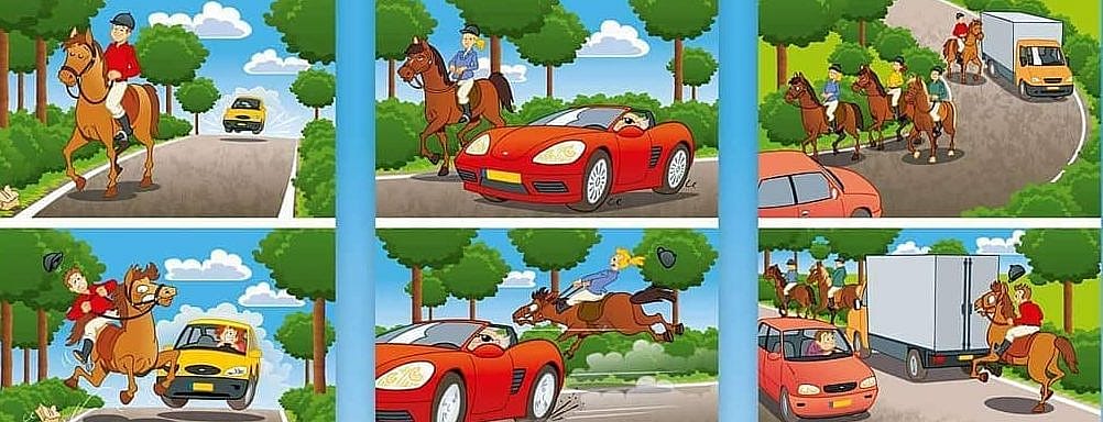 Weet wat je doet als je een paard ontmoet