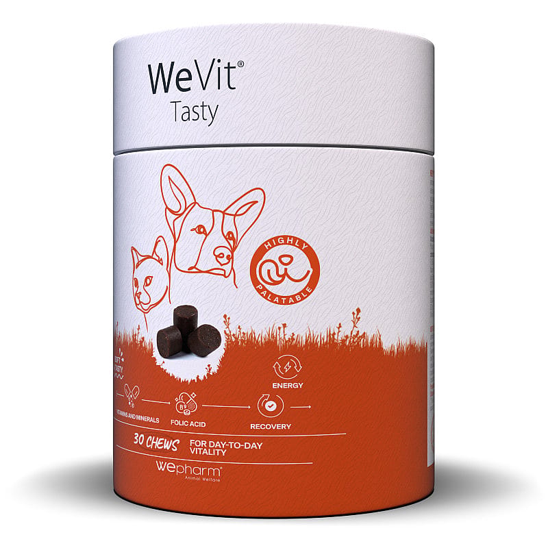 Wepharm WeVit Tasty 30 soft-chews
