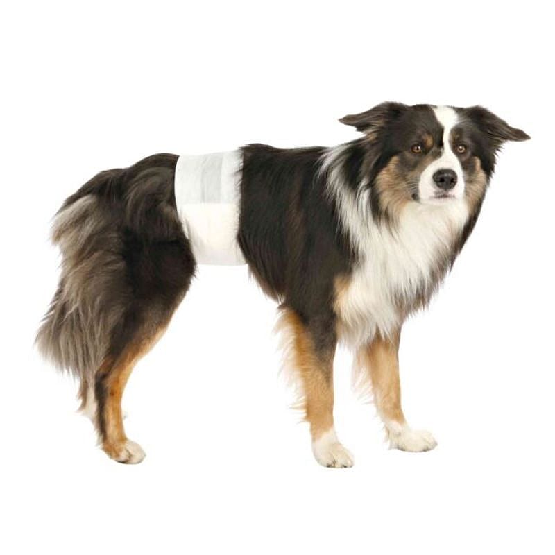 Trixie Luiers voor Reuen 12 stuks Hond Maat L/XL