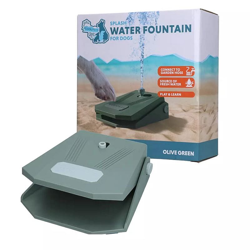water fountain, dog, garden, plastic, olive green