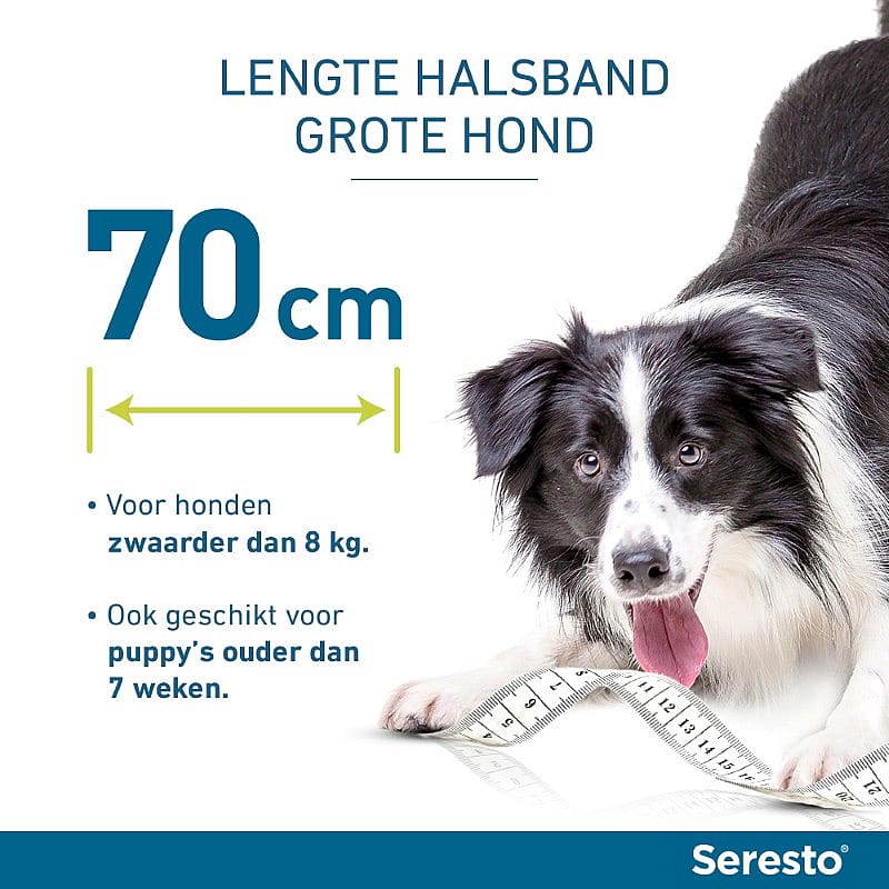 70 cm, halsband, lengte halsband, metingen, touw/riem