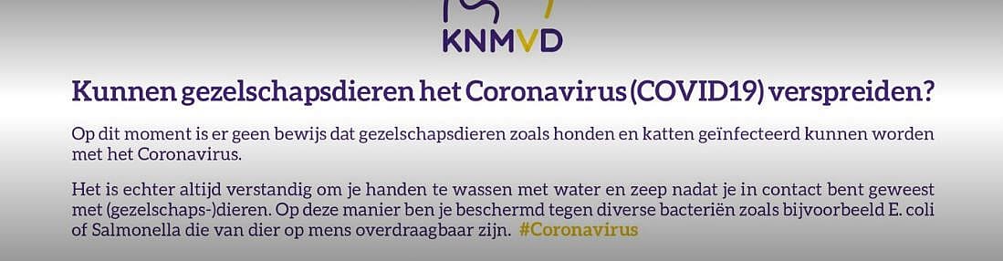 Corona virus en huisdieren, de veelgestelde vragen