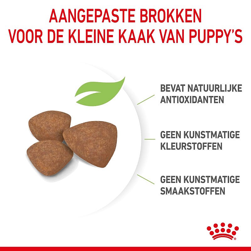 Royal Canin Puppy Mini 2 kg