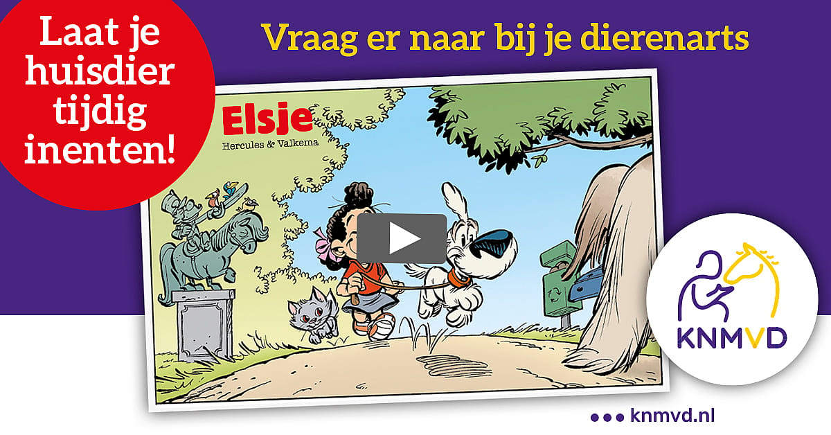 Waarom dieren vaccineren?