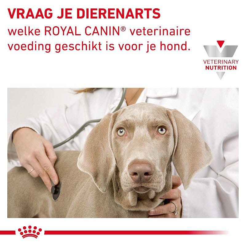Royal Canin Gastrointestinal Hond 2 kg