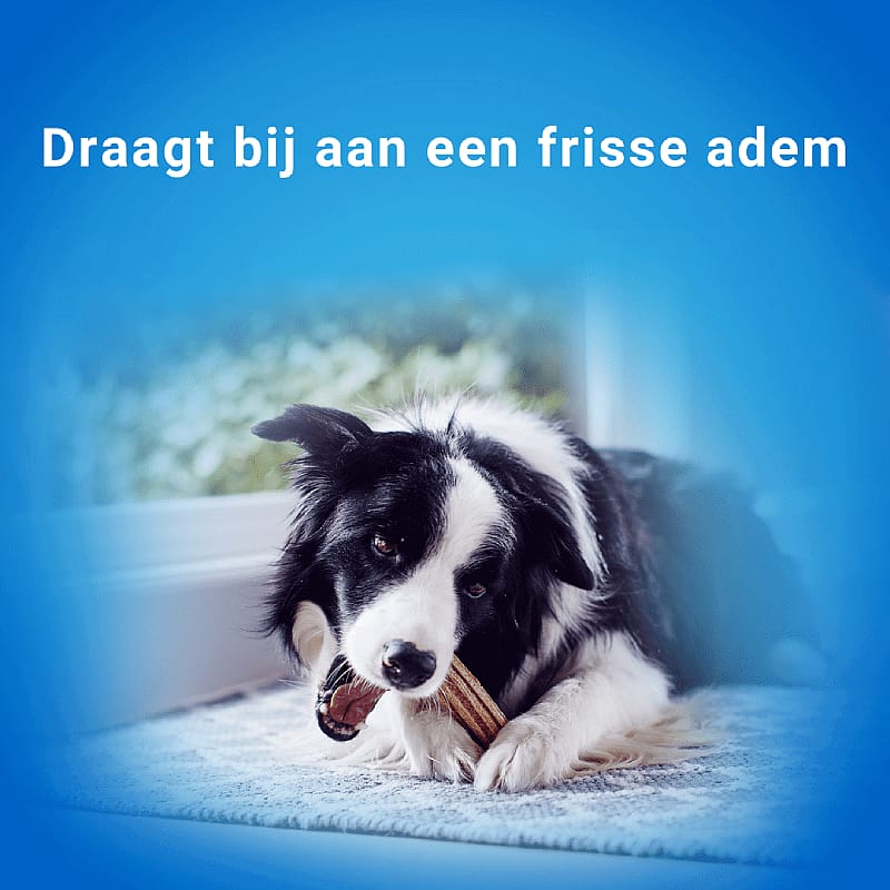 Purina DentaLife Hond