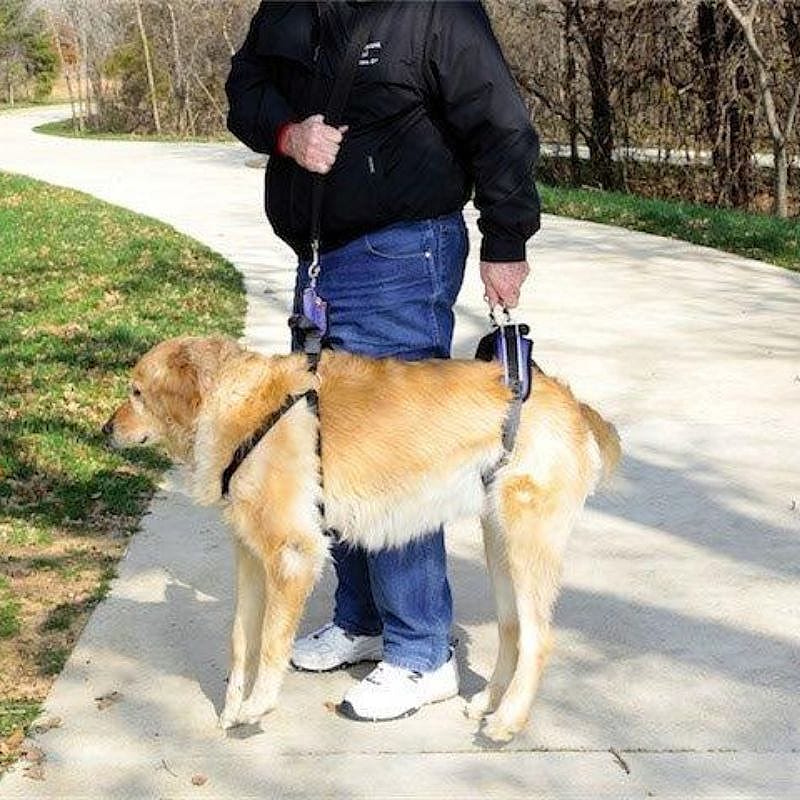 Petsafe Carelift Support Harness Maat Large