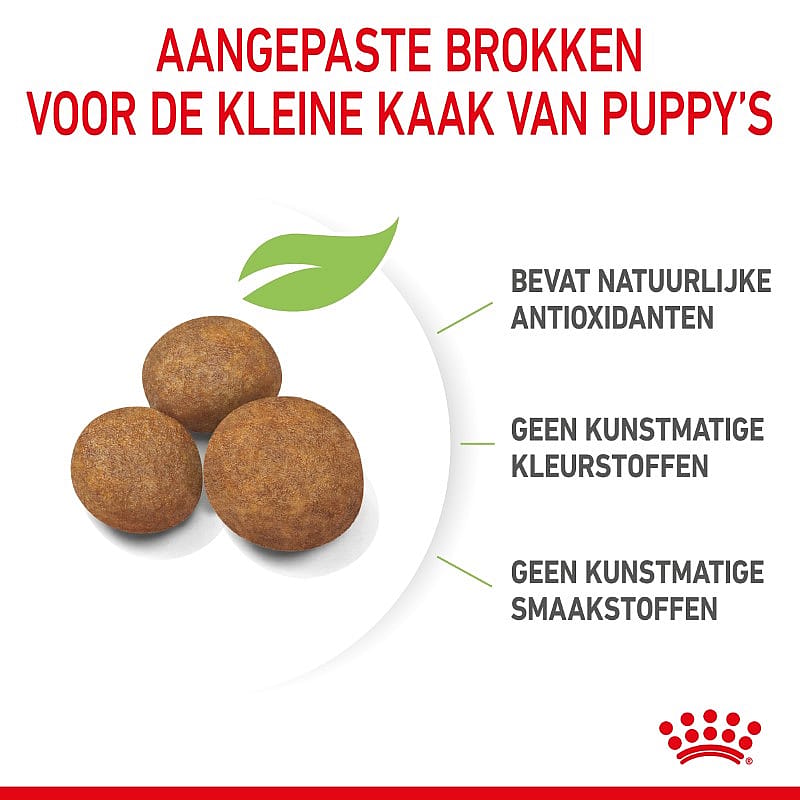 Royal Canin Puppy Maxi 15 kg