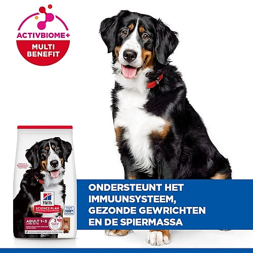 hond, hondenvoer, poedel, dierenvoer, voeding hond