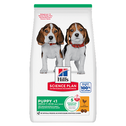 dogvoedsel, puppy, beagle, zak, huisdier voeding