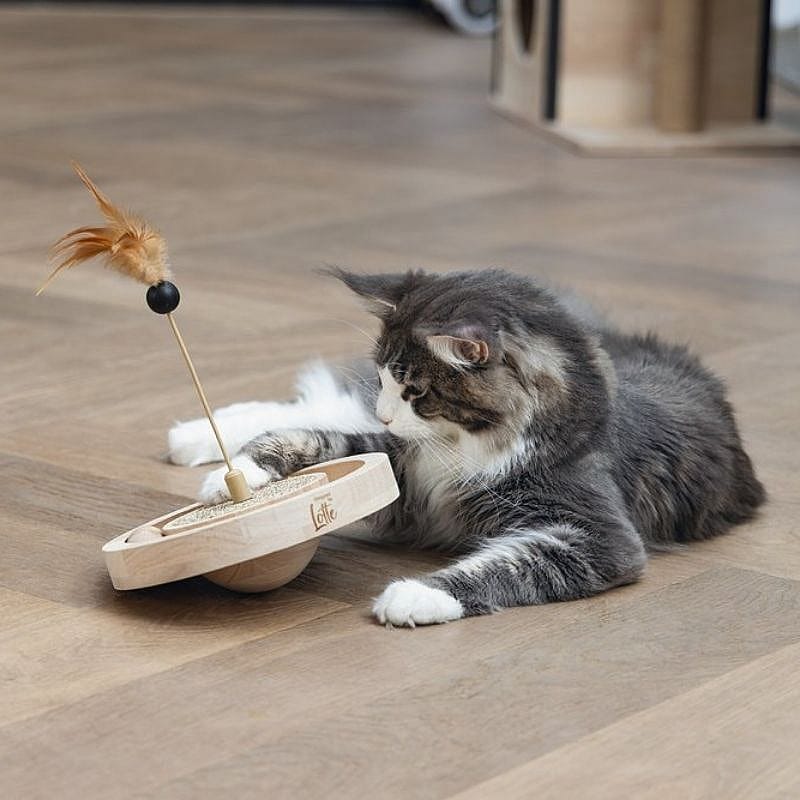 kat, katten speelgoed, kattenspeelgoed, kittens, speelgoedstaaf