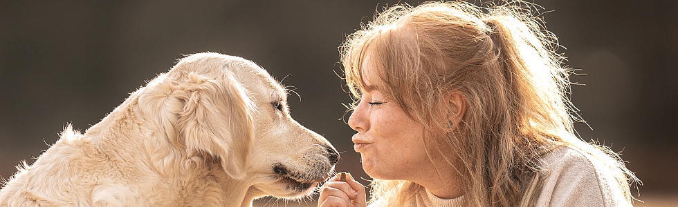 Heeft uw hond snackzin? Keuzehulp voor de juiste hondensnack