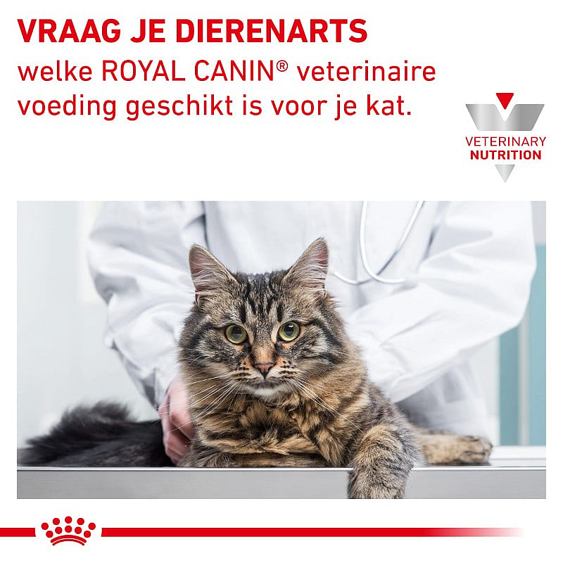 Royal Canin Anallergenic Kat 2 kg