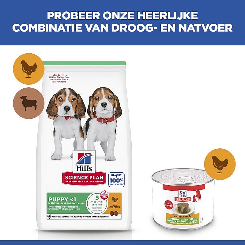 hondenvoer, pup van beagle, wetenschappelijk samengesteld, voerzak, blikvoer