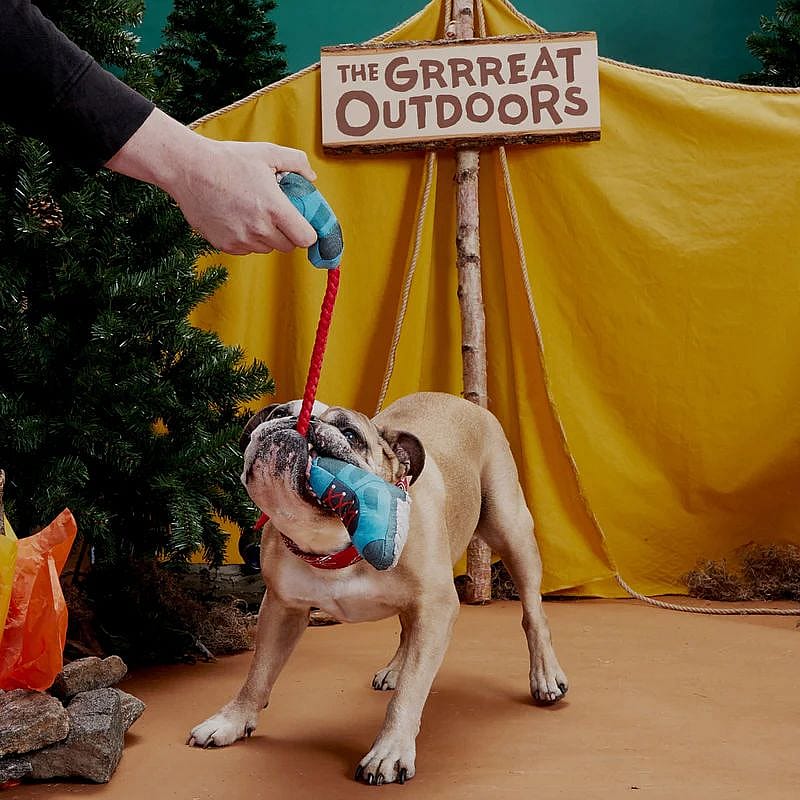 honden, speelgoed, knots, touw, hondenspeelgoed