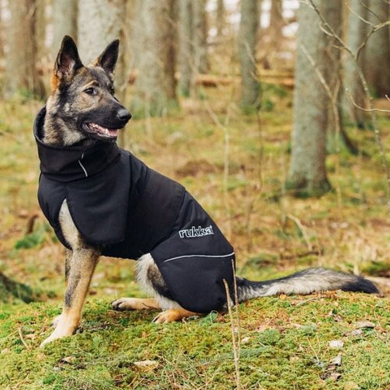 Rukka Windy Thermal Jacket Softshell Jas Hond Zwart Maat 30