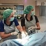 Rug Hals hernia hond