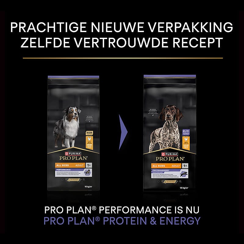 hondenvoer,  droogvoer,  Pro Plan,  adult,  14 kg