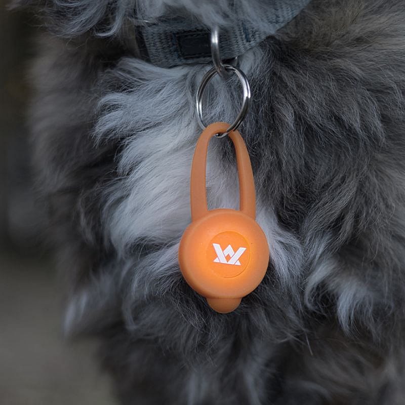 anti-lost tag, pet tag, dog tag, orange keyring, fob