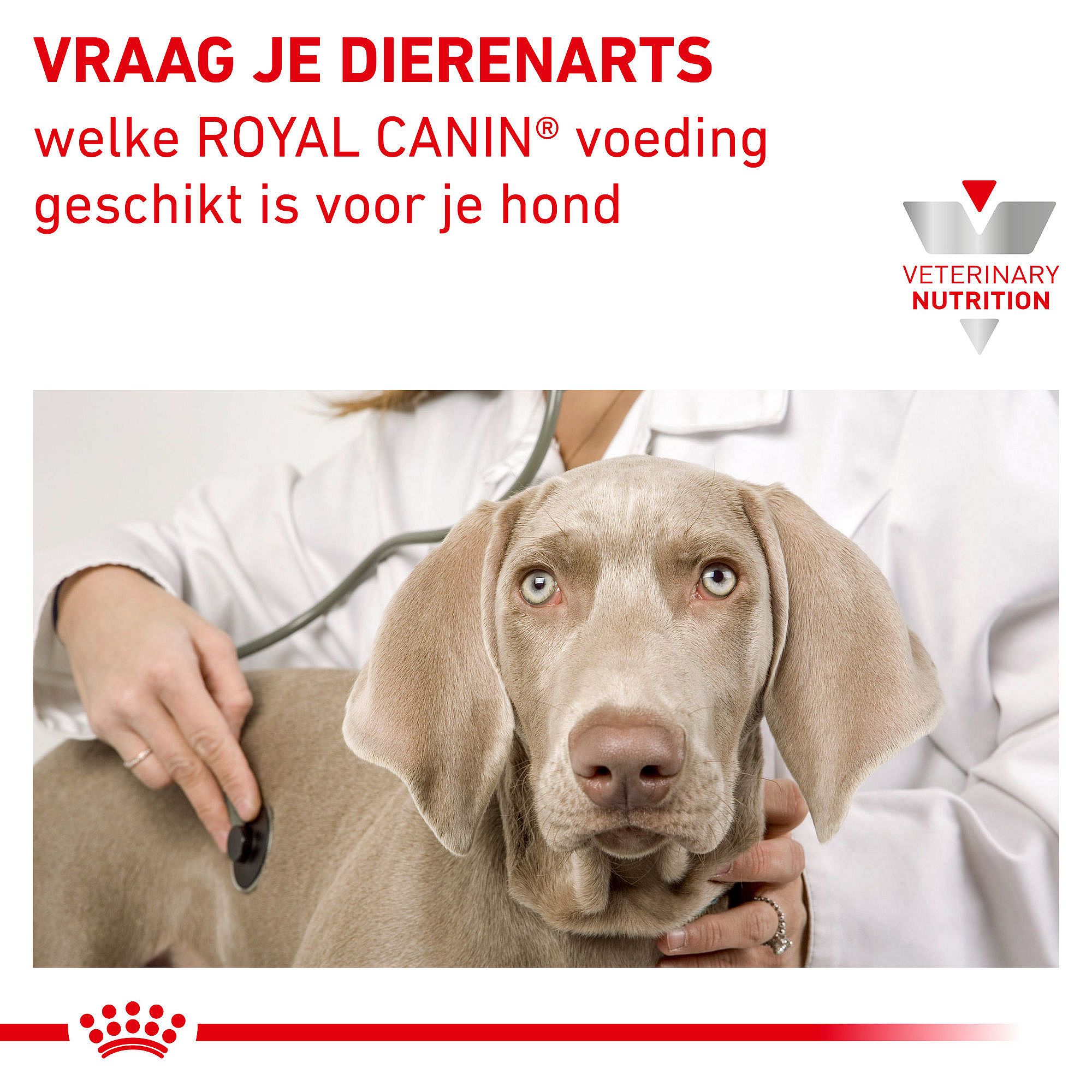 Royal Canin Hypoallergenic Hond