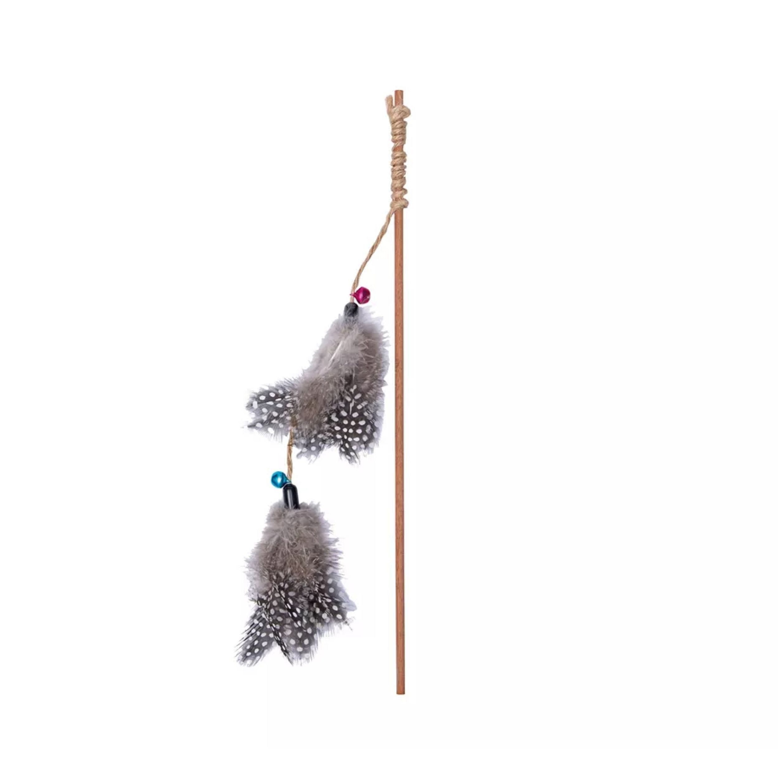 kat, verenstok, verenaccessoire, vogelveer, feathered toy