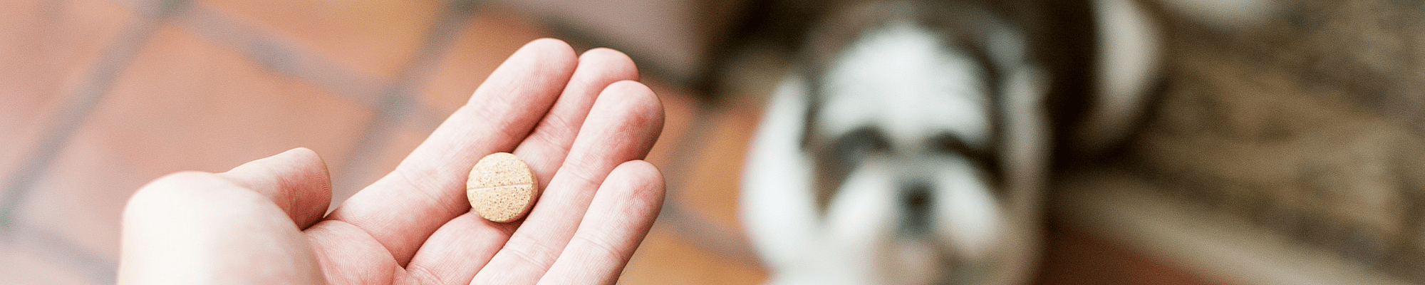 Vinger, Hand, Persoon, Medicatie, Pil