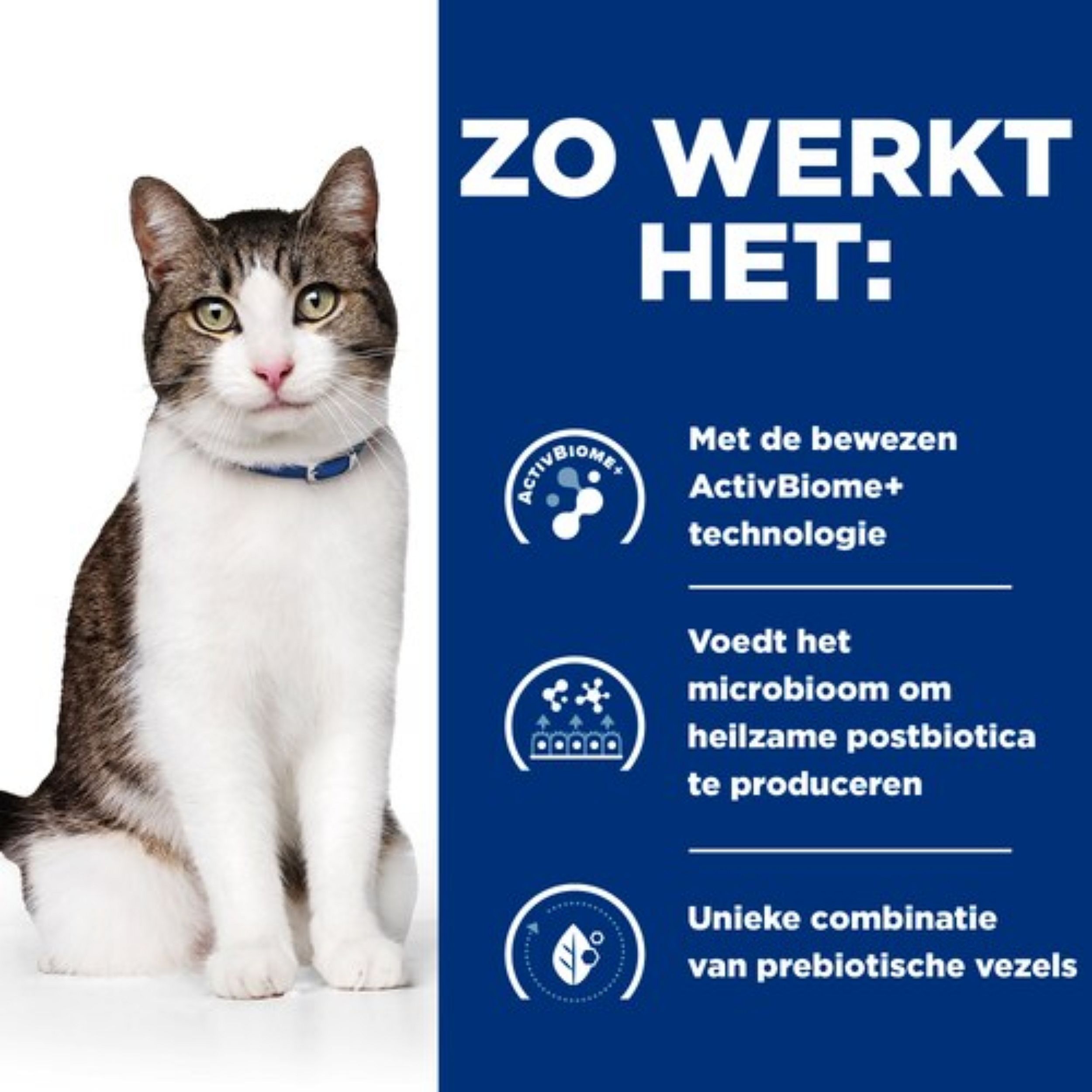 Hills Prescription Diet Gastrointestinal Biome Stress Kattenvoer 1.5 kg