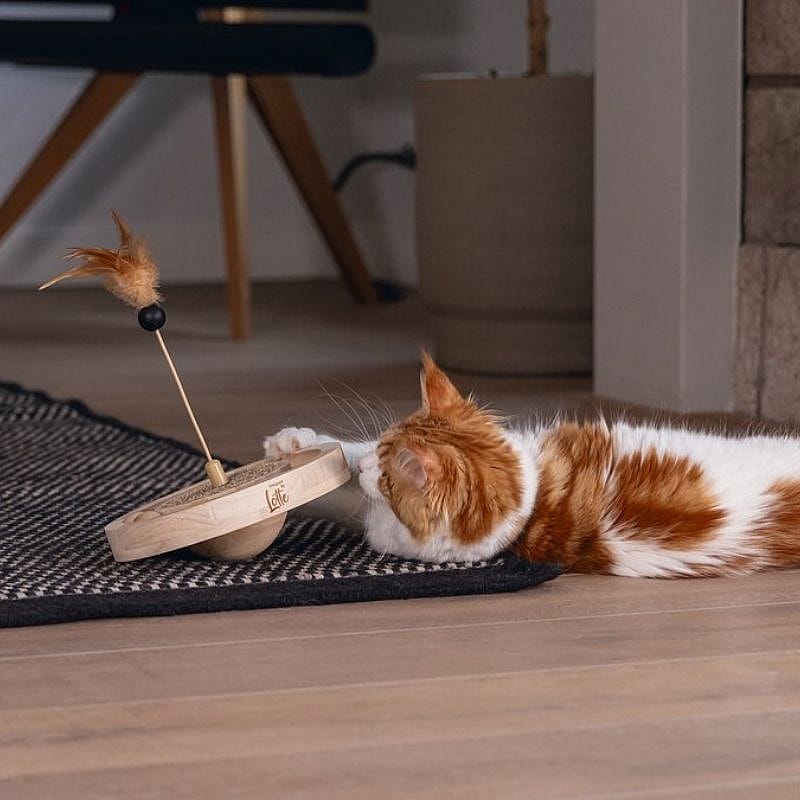 kat, katten speelgoed, muizenvanger, touwspeeltje, m Mooie kat?