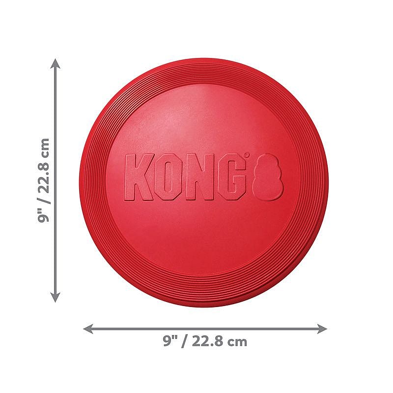 KONG Classic Flyer Hond