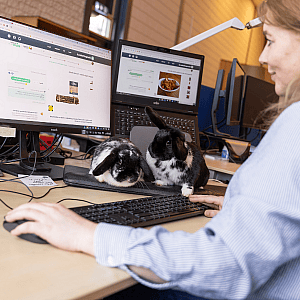 Computer, Computertoetsenbord, Tafel, Pc, Bureau